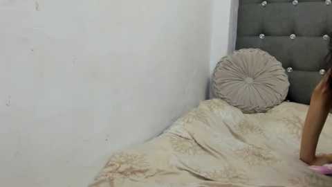 Media: trixieemerald Chaturbate 2024-11-14 01:32:00