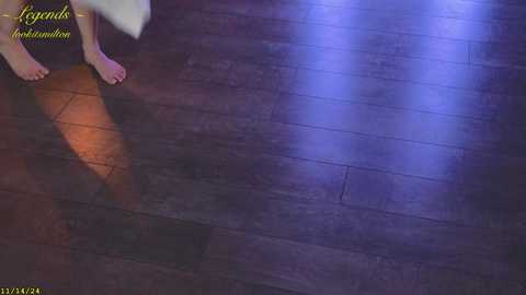 Media: _stella_rose_ Chaturbate 2024-11-15 03:18:00