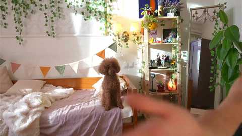 Media: eli_sun Chaturbate 2024-11-15 09:58:00