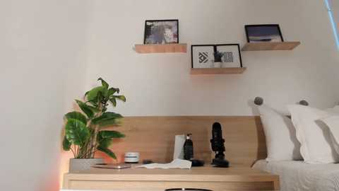 Media: lana_kane_ Chaturbate 2024-11-17 16:12:00