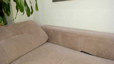 Media: willahadley Chaturbate 2024-11-17 11:18:00