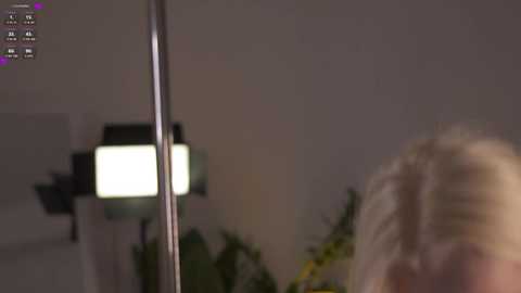 Media: alissa_wxw Chaturbate 2024-11-18 03:32:00