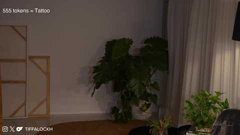 Media: tifalock_ Chaturbate 2024-11-18 00:14:00