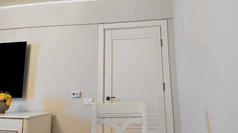 Media: devyale Chaturbate 2024-11-19 07:24:00