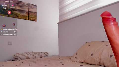 Media: itsbellax Chaturbate 2024-11-19 13:14:00