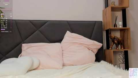 Media: pinkncrazy Chaturbate 2024-11-19 19:35:00