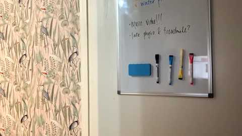 Media: summer_always Chaturbate 2024-11-19 22:29:00