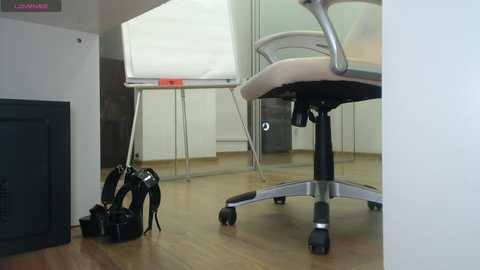 Media: babesgowild Chaturbate 2024-11-20 00:16:00