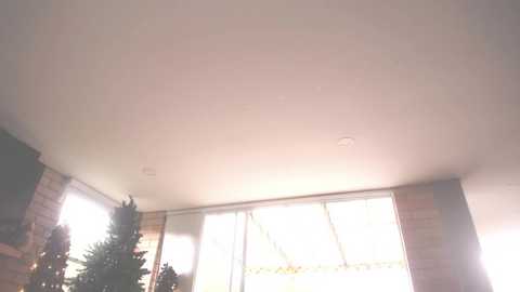 Media: kendalltyler Chaturbate 2024-11-20 19:58:00