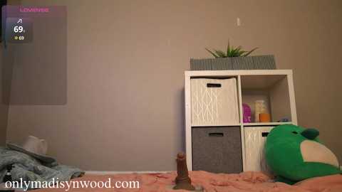 Media: madisynwood Chaturbate 2024-11-20 04:25:00