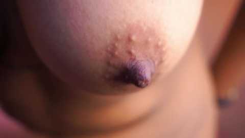 Media: pauline_7 Chaturbate 2024-11-20 20:38:00