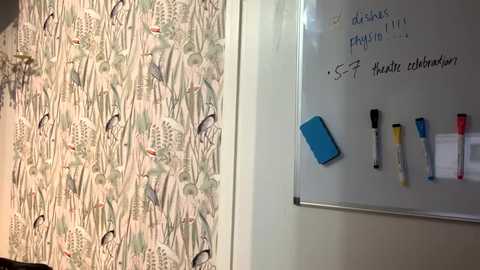 Media: summer_always Chaturbate 2024-11-20 20:24:00