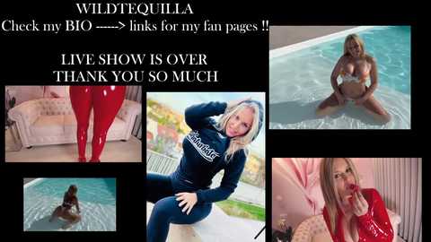 wildtequilla @ chaturbate on 20241121