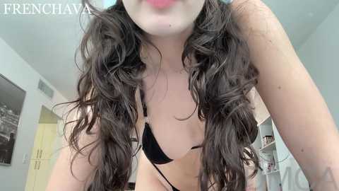 Media: frenchava Chaturbate 2024-11-22 19:55:00