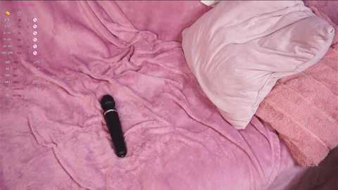 Media: meow_meow_mia Chaturbate 2024-11-22 07:51:00