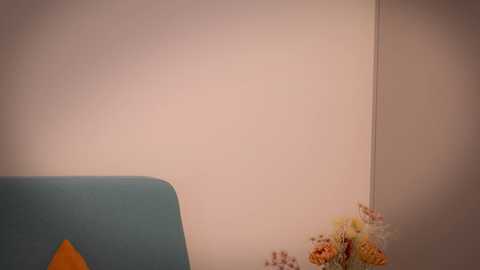 xiawa_xo @ chaturbate on 20241122