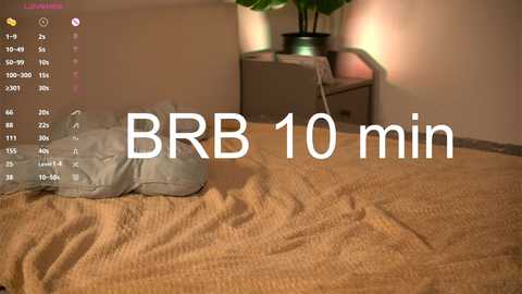 Media: well_yess Chaturbate 2024-11-23 18:48:00