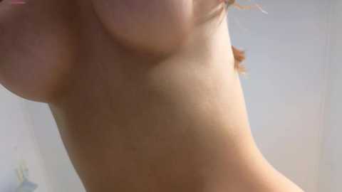 Media: aryamirelle Chaturbate 2024-11-24 20:43:00