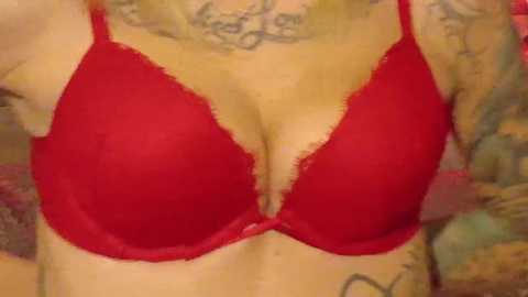 armyvet1991 @ chaturbate on 20241125