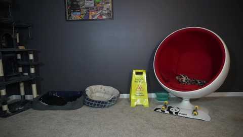Media: sydaffect Chaturbate 2024-11-25 05:34:00
