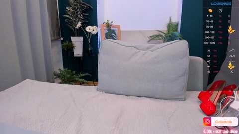 Media: arikajoy Chaturbate 2024-11-26 18:37:00