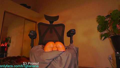 Media: b1gbanana Chaturbate 2024-11-26 03:22:00