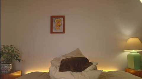Media: jsmine_ Chaturbate 2024-11-26 01:30:00