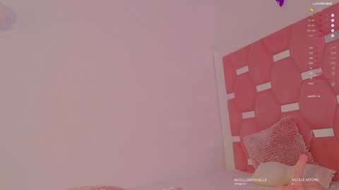 Media: nicolle_mitchelle Chaturbate 2024-11-27 17:01:00
