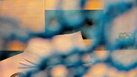 Media: angell6969 Chaturbate 2024-11-28 08:30:00