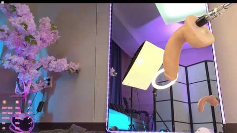 Media: marry_cordy Chaturbate 2024-11-28 15:12:00