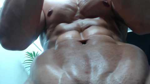 muscle__man @ chaturbate on 20241128