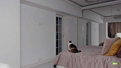 Media: unforgettable_s Chaturbate 2024-11-28 18:23:00