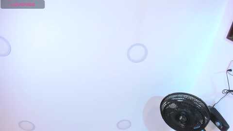 Media: veronica_garciaa Chaturbate 2024-11-28 13:18:00