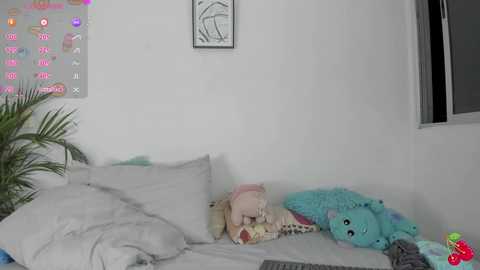 namibergman_ @ chaturbate on 20241129