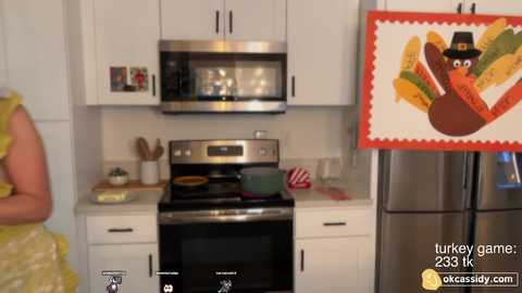 Media: oh_ok_cassidy Chaturbate 2024-11-29 00:19:00