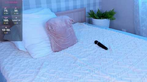 Media: flirtykitty_ Chaturbate 2024-11-30 09:49:00