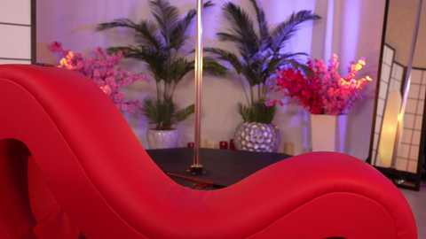 Media: kittycaitlin Chaturbate 2024-11-30 02:43:00