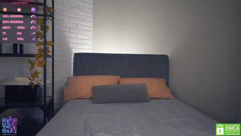 Media: rowenahallman Chaturbate 2024-11-30 07:38:00