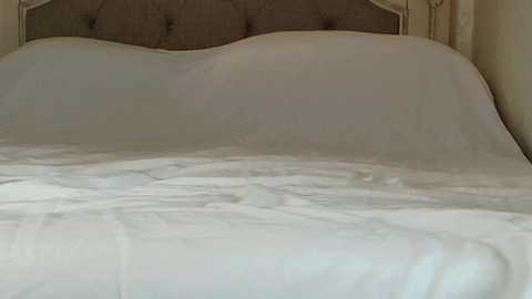 Media: littlegreekflower Chaturbate 2024-12-01 14:10:00