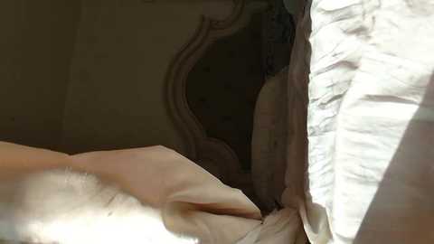 Media: littlegreekflower Chaturbate 2024-12-01 20:09:00
