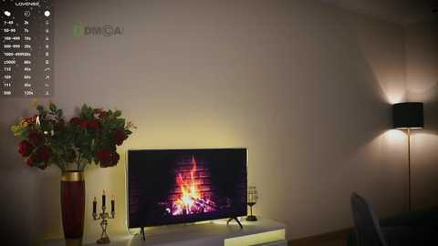 Media: maryssaa_ Chaturbate 2024-12-01 18:51:00