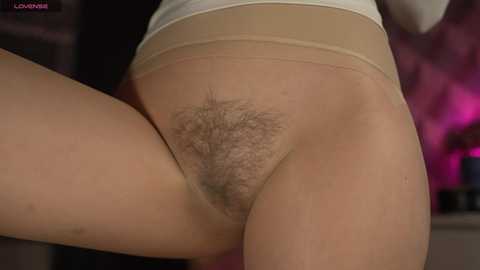 Media: orsonhot Chaturbate 2024-12-02 11:25:00
