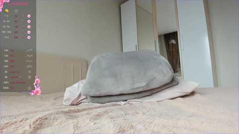 Media: sweety_vikky Chaturbate 2024-12-02 05:32:00
