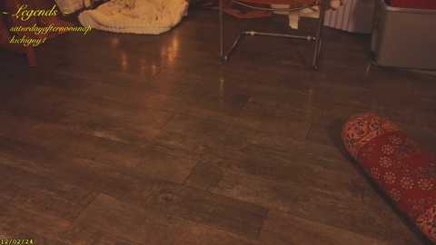 Media: _stella_rose_ Chaturbate 2024-12-03 03:59:00