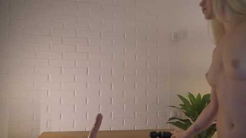 Media: alissa_wxw Chaturbate 2024-12-03 00:32:00
