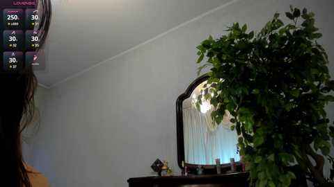 Media: flower_nicole Chaturbate 2024-12-03 09:05:00