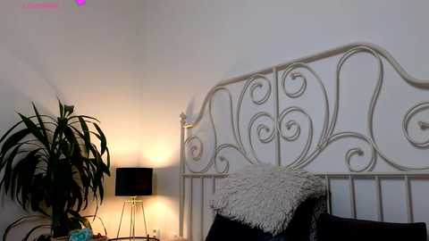 Media: ginnybabe_ Chaturbate 2024-12-03 13:36:00