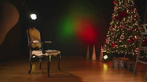 Media: rocknrose Chaturbate 2024-12-03 01:17:00