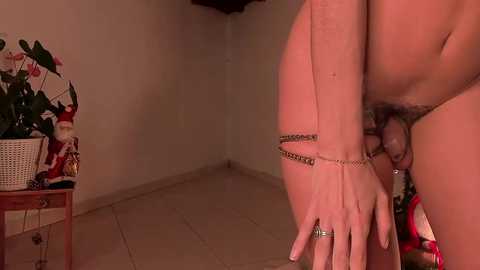 lola_cocks @ chaturbate on 20241204