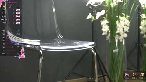 Media: alexxiskye Chaturbate 2024-12-05 13:31:00